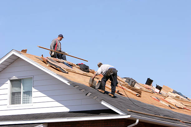 Best Roof Insulation Installation  in Danbury, TX